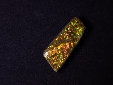 Ammolith  (Kanada)  14,2 Carat,  ALA 2