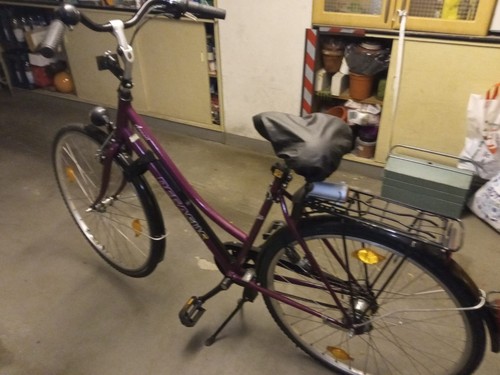 Damenfahrrad zoll pegasus - damenfahrrad, 28