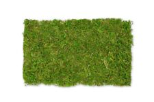 NaDeco Moosplatte 30x18cm  Deko Moos | Modellbau | Krippemnbau | Moobild | Matte