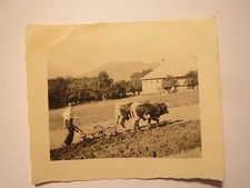 Bauer bei Arbeit auf dem Feld