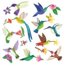 20er Set Fensterbild Kolibri