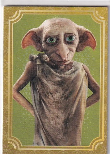 Panini harry potter - panini,