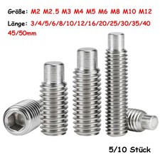 M2-M12