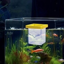 Schwimmende
