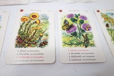 Schmids - Quartett-Spiel mit