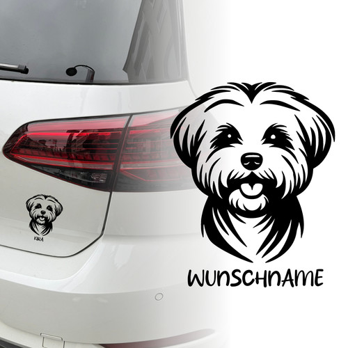 Malteser hund auto - ,
