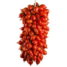 Piennolo del vesuvio tomate - del, 50