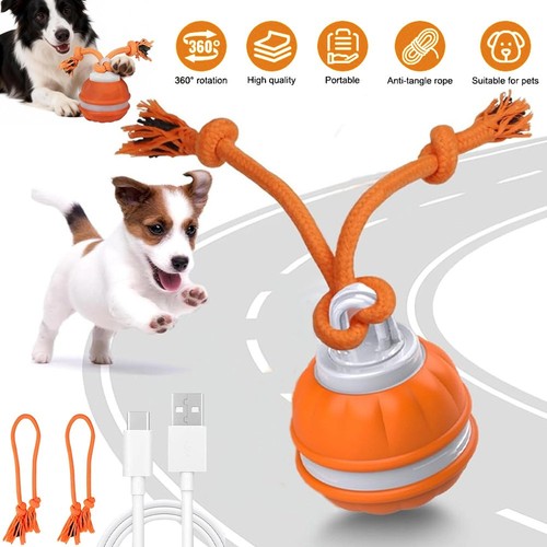 Hundespielzeug - hundespielzeug,