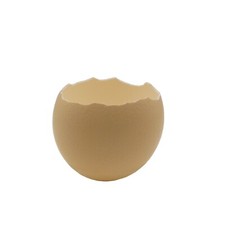 Straußenei Schlupfschale