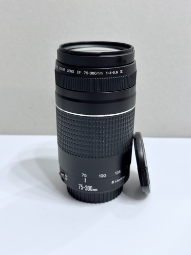 Canon 300 4 - 75-300, f/4-5.6