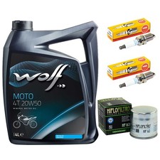 Inspektion Öl 4L Set