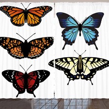 Schwalbenschwanz Schmetterling