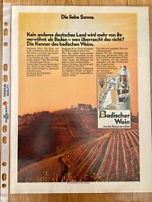 Badischer Wein von der Sonne