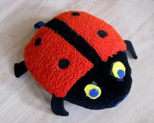 RARITÄT Marienkäfer