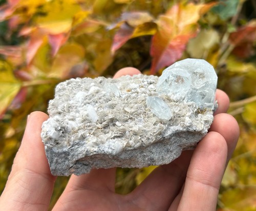 Beryl var goshenite on - var,