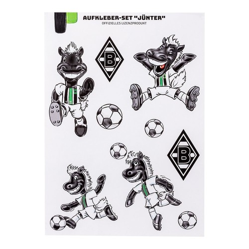 Borussia mönchengladbach - borussia,