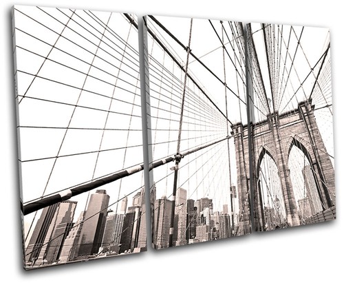Brooklyn bridge nyc city - nyc,
