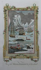 Walfang vor Grönland -