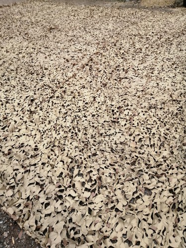 British army desert camo - army, net