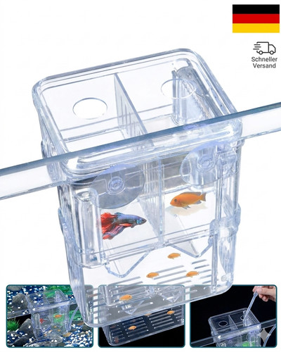 Aquarium fischzuchtbox - aquarium,