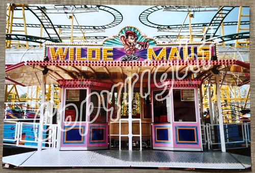 Xxl foto kasse wilde - xxl,