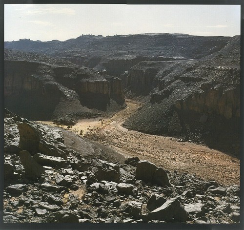 Steintrümmerlandschaft