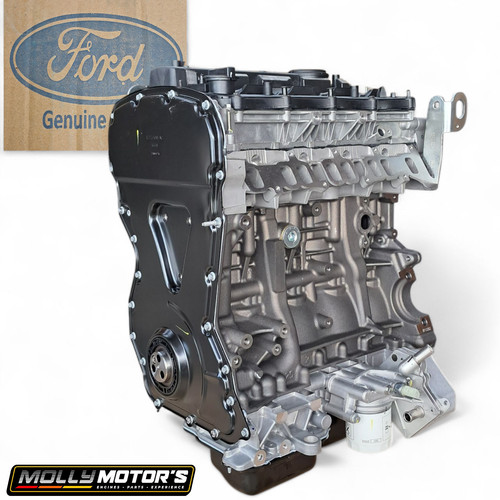 Original motor ford transit - original,