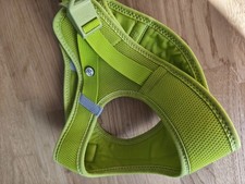 Curli Geschirr Gr. M in Grün