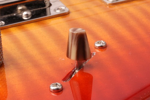 Hailwood switchtip leopard - hailwood,