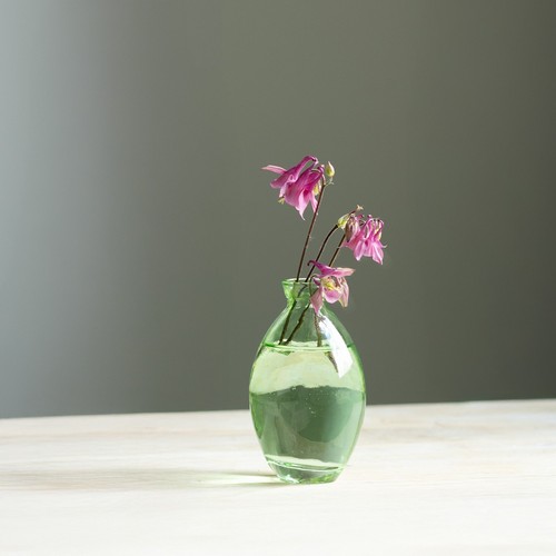 Minivasen glas retro grün - glas,