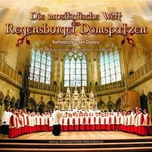 Die musikalische welt der - die,