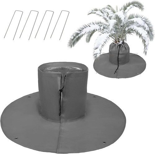 Palmen winterschutz - palmen,