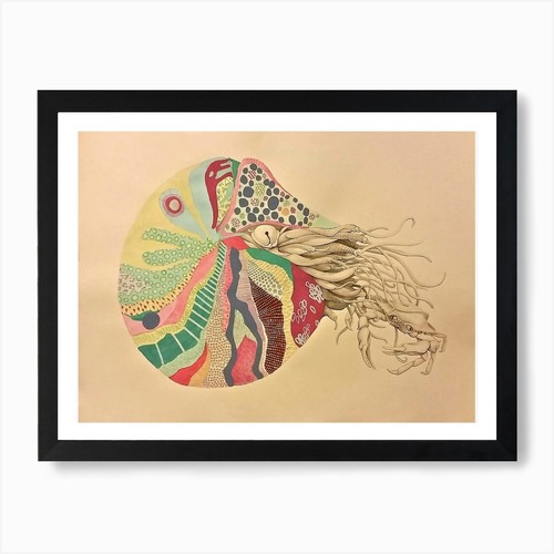 Nautilus kunstdruck gerahmt - nautilus,