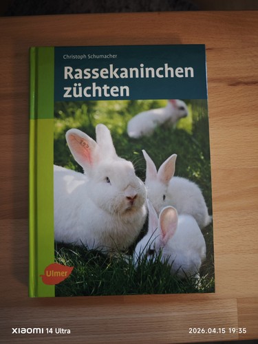 Rassekaninchen züchten - , |
