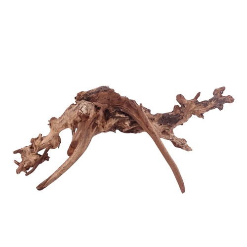 Driftwood flußwurzel - driftwood,
