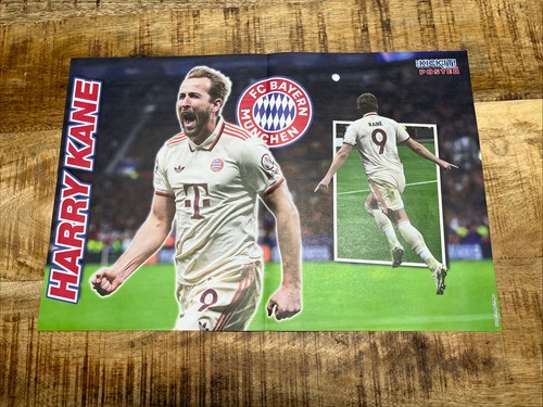 Harry kane poster england - harry,
