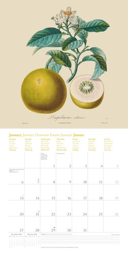 Wandkalender dumont fruits - wandkalender,