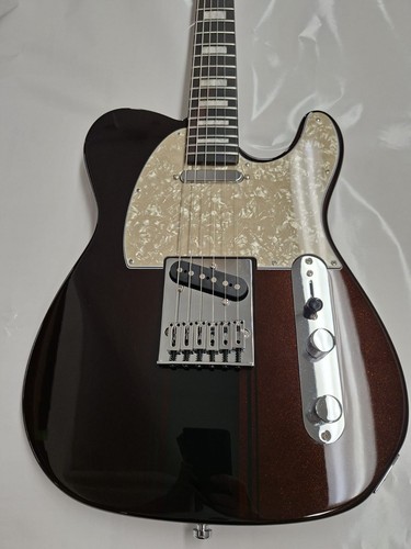 Telecaster unikat - telecaster,, unikat,