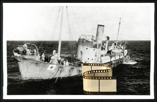 Foto lyttelton - -,