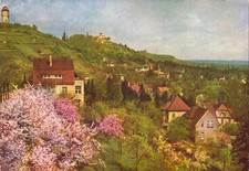 AK: RADEBEUL – Die Lößnitz