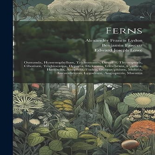 Ferns osmunda hymenophyllum - ferns,