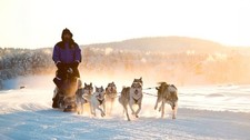 mydays Gutschein  Lappland mit