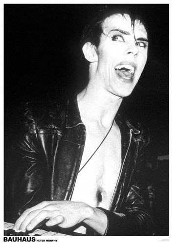 Bauhaus poster playing - bauhaus,