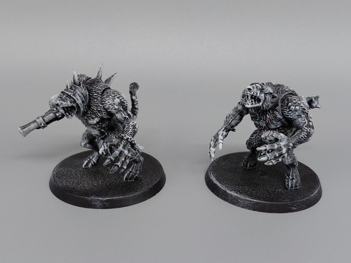 Rat ogors skaven - rat, age