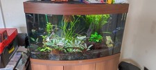 Juwel Vision 180 Liter Komplett Aquarium mit Restbesatz