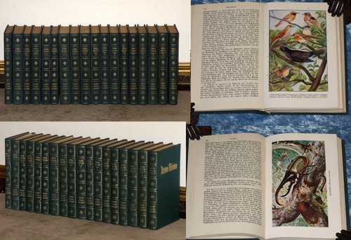Brehms tierleben von 1926 - brehms,