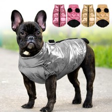 Hunde Winterjacke Wasserfest