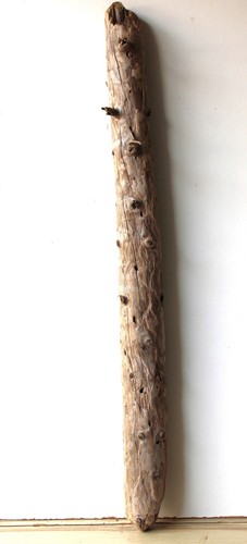 Treibholz schwemmholz - treibholz,