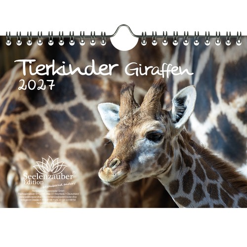 Tierkinder giraffen din - tierkinder,