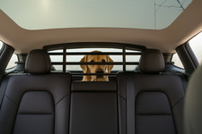 Hundegitter Rücksitzbank für